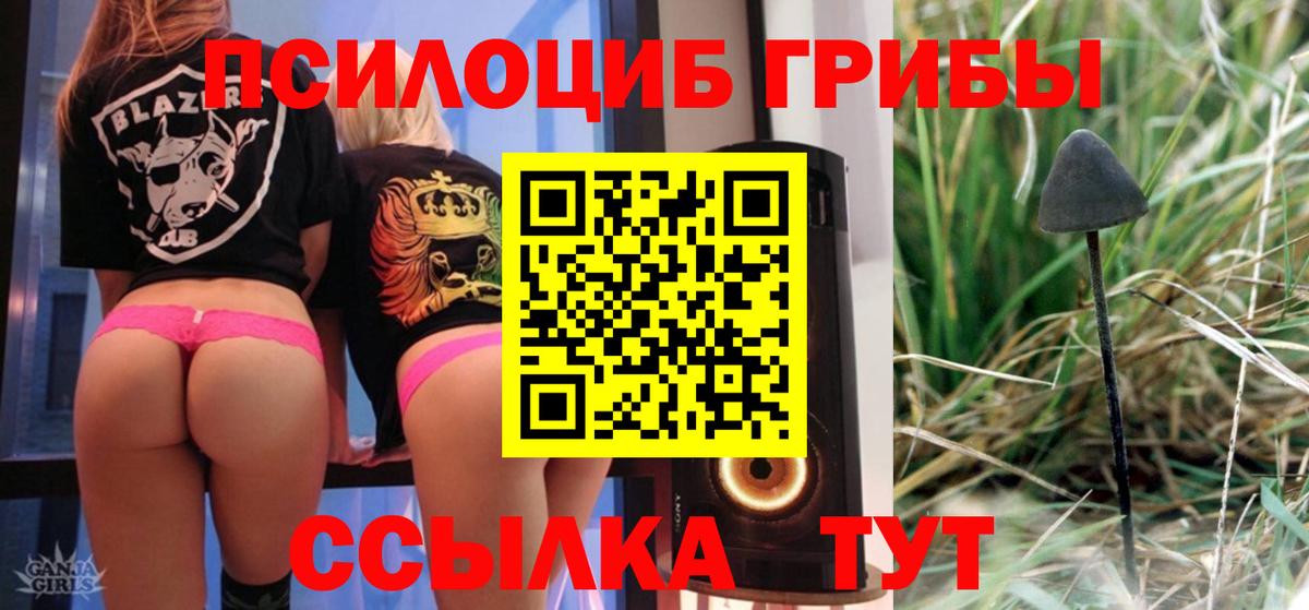 Псилоцибиновые грибы прущие грибы Кохма