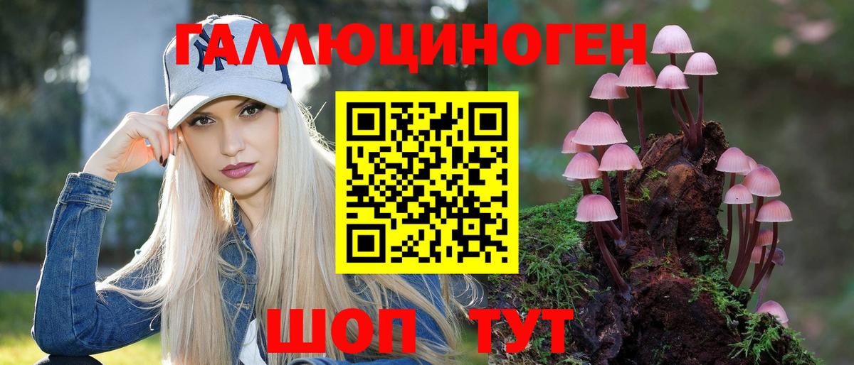 Псилоцибиновые грибы прущие грибы  Вход с VPN  Кохма 